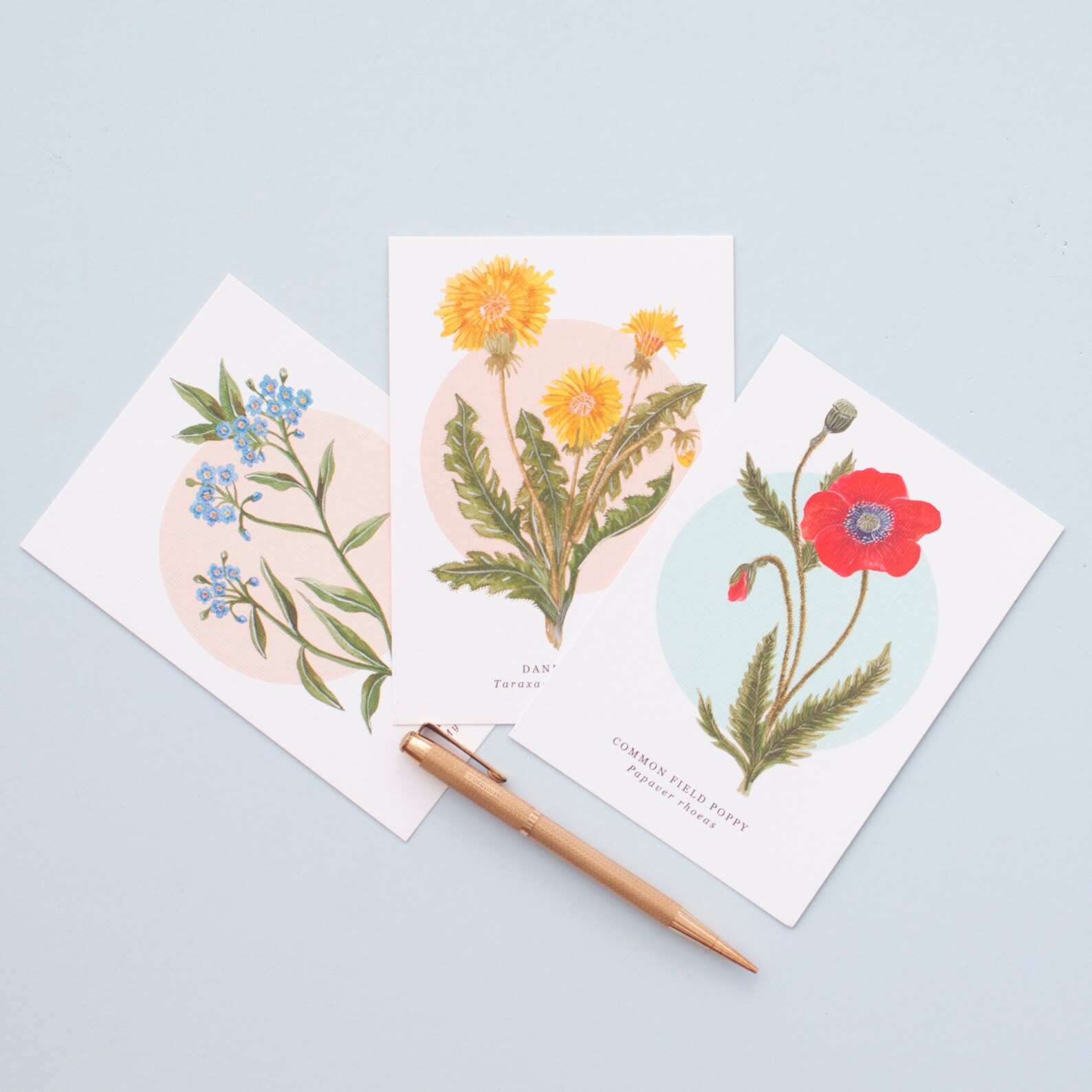 British Wild Flower Notelet Pack | Pack of 8 Illustrated Notelets ...