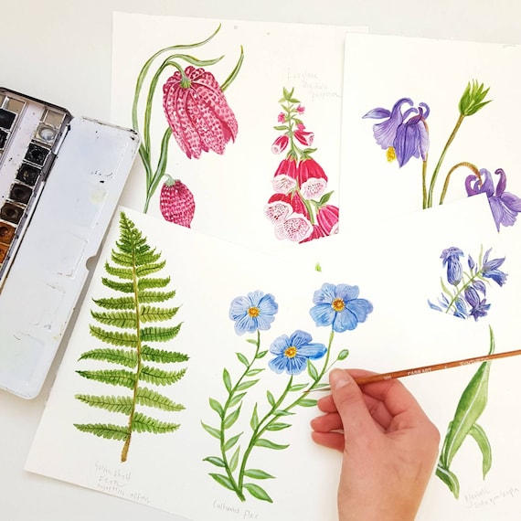 british wild flowers in relation to ‥ British Wild Flowers Print | Illustrated Giclée Print