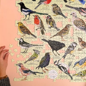 May include: A colorful jigsaw puzzle featuring illustrations of various bird species, including a robin, a blackbird, a goldfinch, a wren, and a magpie. The puzzle pieces are arranged in a grid pattern on a light pink background.