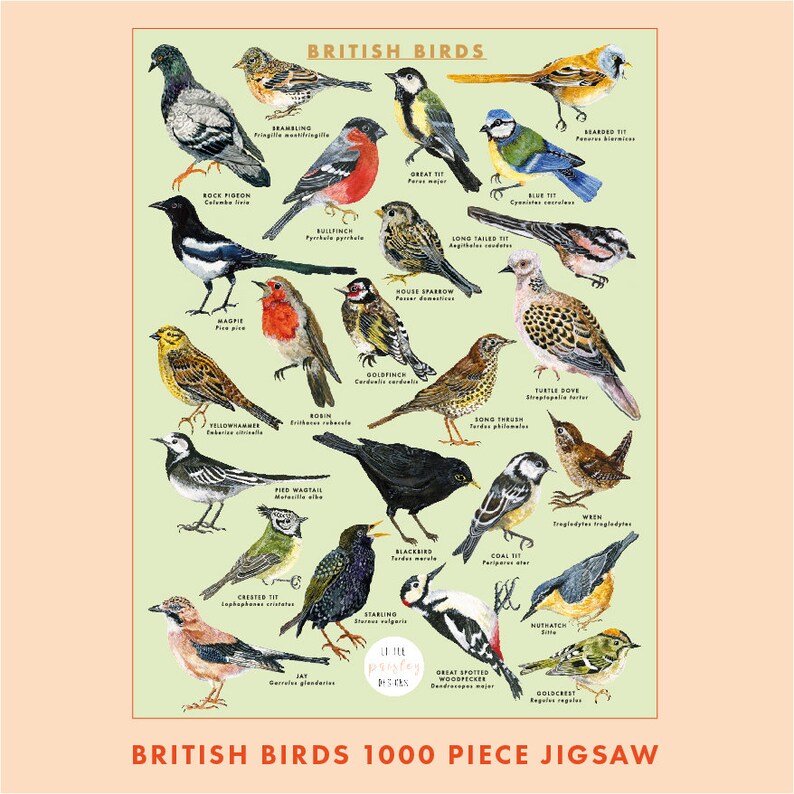 May include: A 1000 piece jigsaw puzzle featuring illustrations of British birds. The puzzle depicts a variety of birds, including a robin, a goldfinch, a wren, a great spotted woodpecker, and a blue tit. The puzzle is set against a light green background with the words "British Birds" at the top and "British Birds 1000 Piece Jigsaw" at the bottom.