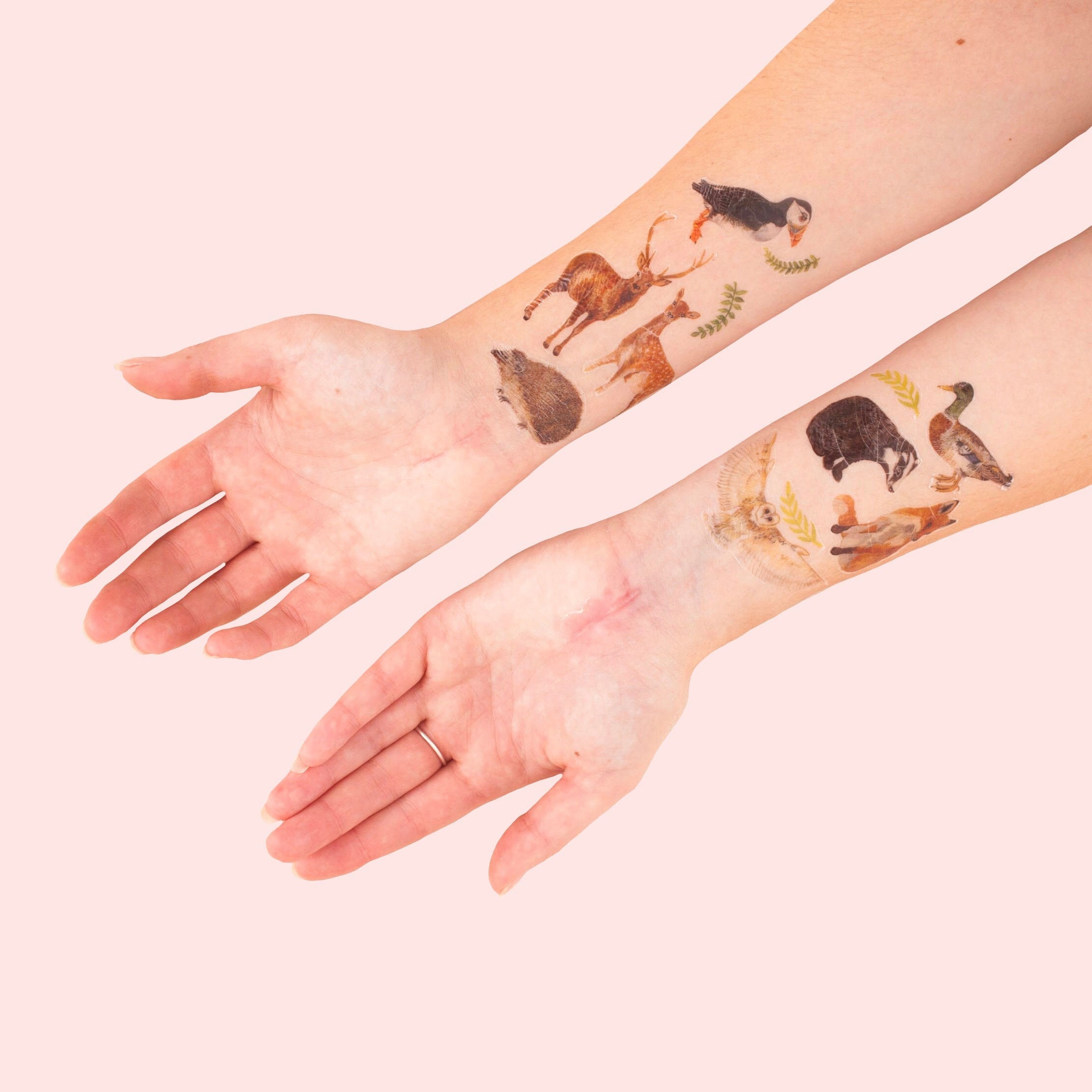 Animal Temporary Tattoos Sleeve 4Sheet Large Fake Lion Arm Temporary  Tattoos and 4Sheet Black Tiger Wolf Full Arm Sleeve Tattoo Sticker Body  Art for Women Men price in Saudi Arabia  Amazon