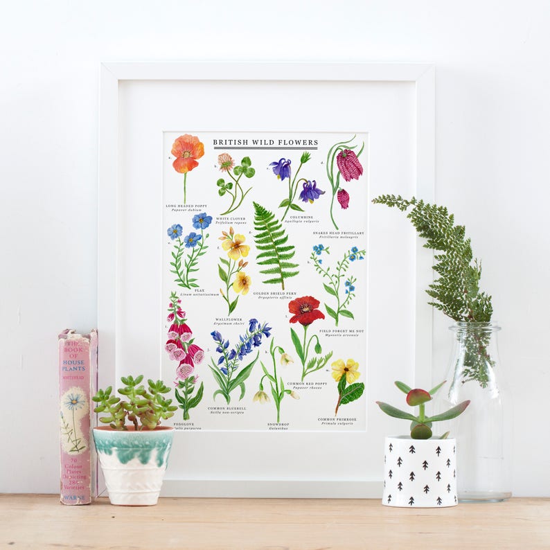 British Wild Flowers Print Illustrated Giclée Print Wildflower Print Flower Print British Nature Print Flower Painting 30x40cm image 6