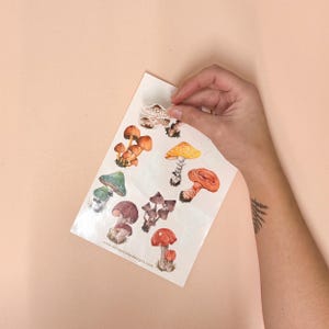 May include: A sheet of colorful mushroom stickers with a white background. The stickers feature various types of mushrooms in different colors, including red, orange, yellow, green, and brown. The sheet includes the website address "www.littlepaisleydesigns.com".