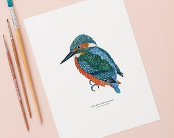 May include: A watercolor illustration of a common kingfisher, also known as Alcedo atthis, perched on a branch. The bird has a blue and green body with an orange breast and a long, sharp beak.