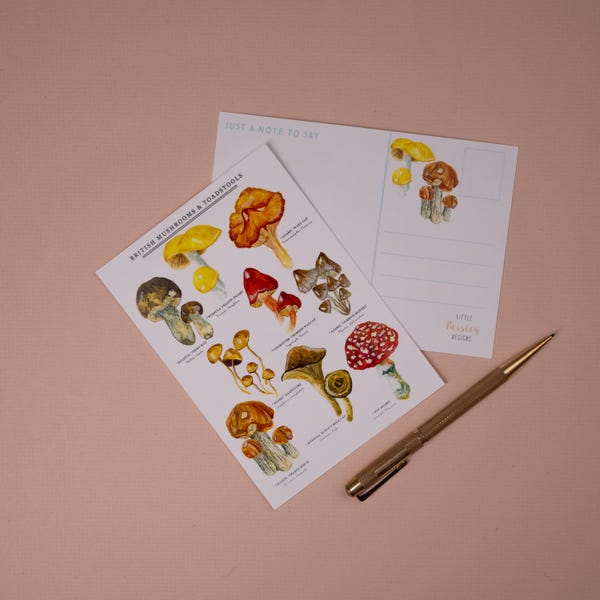 Postal de setas y hongos / Naturaleza británica / Arte natural / Postal con lámina de setas / Guía de identificación / Ilustración de hongos