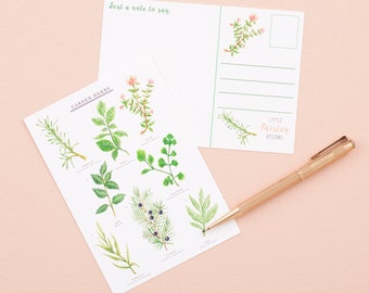 Garden Herbs Postcard | Herb Print | Nature Art | Botanical Print Postcard | Correspondence | Notecard | Postcard | Little Paisley Designs
