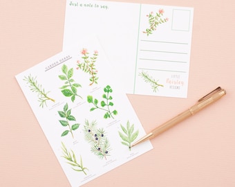 Garden Herbs Postcard | Herb Print | Nature Art | Botanical Print Postcard | Correspondence | Notecard | Postcard | Little Paisley Designs