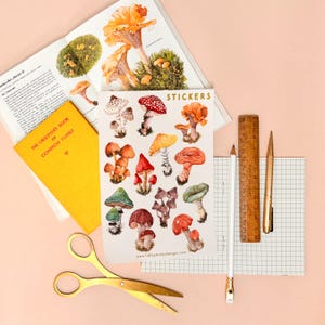 May include: A sheet of stickers featuring illustrations of various mushrooms in shades of red, orange, brown, and white. The stickers are arranged in a grid pattern and have a white background. The text "STICKERS" is printed in gold lettering at the top of the sheet. The text "www.littlepolishdesigns.com" is printed at the bottom of the sheet.