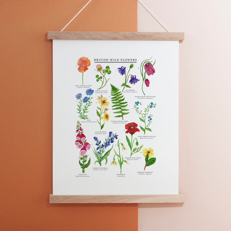 British Wild Flowers Print Illustrated Giclée Print Wildflower Print Flower Print British Nature Print Flower Painting 30x40cm image 4