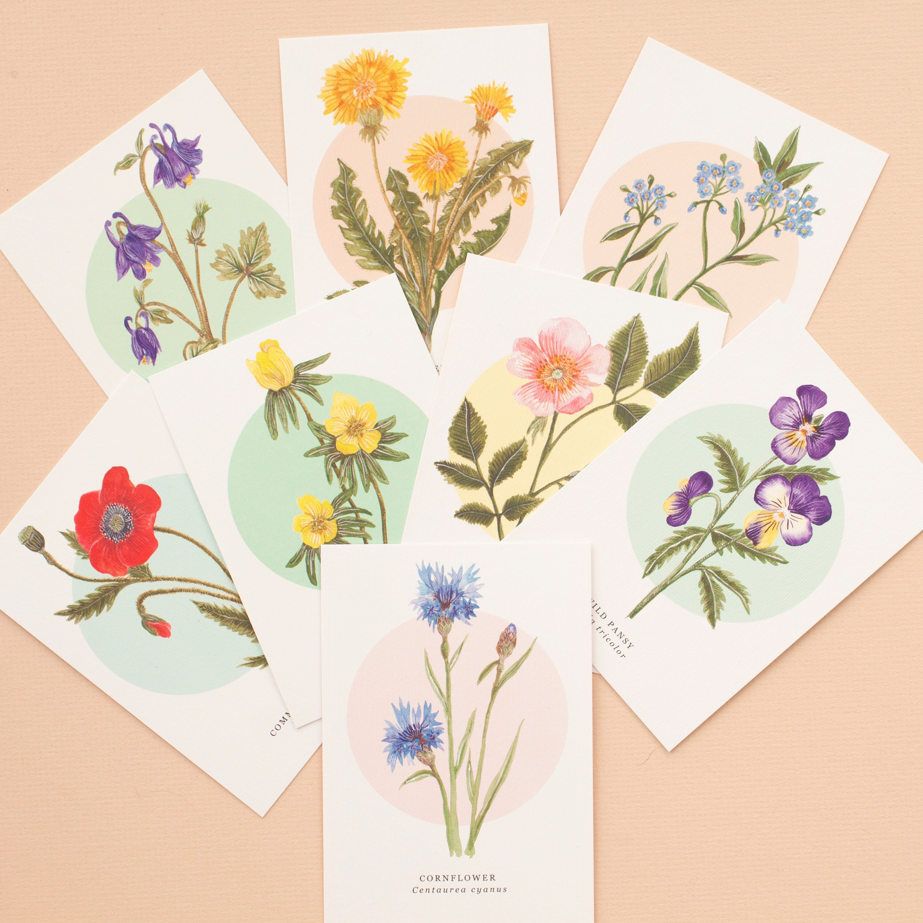 British Wild Flower Notelet Pack | Pack of 8 Illustrated Notelets ...