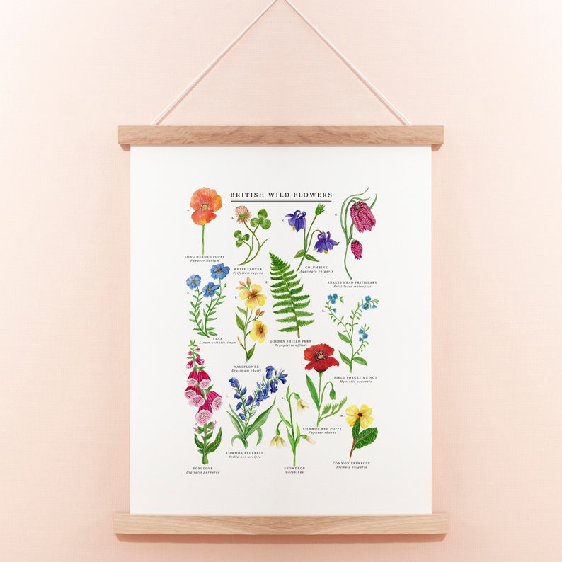 British Wild Flowers Print Illustrated Giclée Print Wildflower Print Flower Print British Nature Print Flower Painting 30x40cm image 1