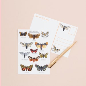 British Moths Postcard | British Nature | Nature Art | Moth Print Postcard | Correspondence | Notecard | Moth Illustration | Insect Postcard