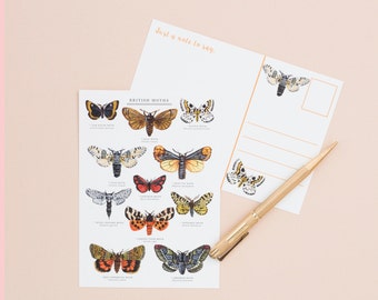 British Moths Postcard | British Nature | Nature Art | Moth Print Postcard | Correspondence | Notecard | Moth Illustration | Insect Postcard