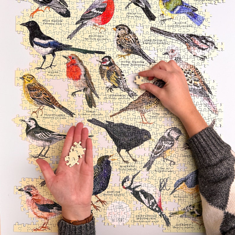 May include: A colorful jigsaw puzzle featuring illustrations of different bird species. Each bird is labeled with its common name and scientific name. The puzzle is partially assembled, with some pieces missing.
