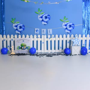 DIGITAL-DOWNLOAD: Backdrop, blau, Geburtstag, 1st, Blaubeere, Cake Smash, Party, Instant, Kinder, Fotografie