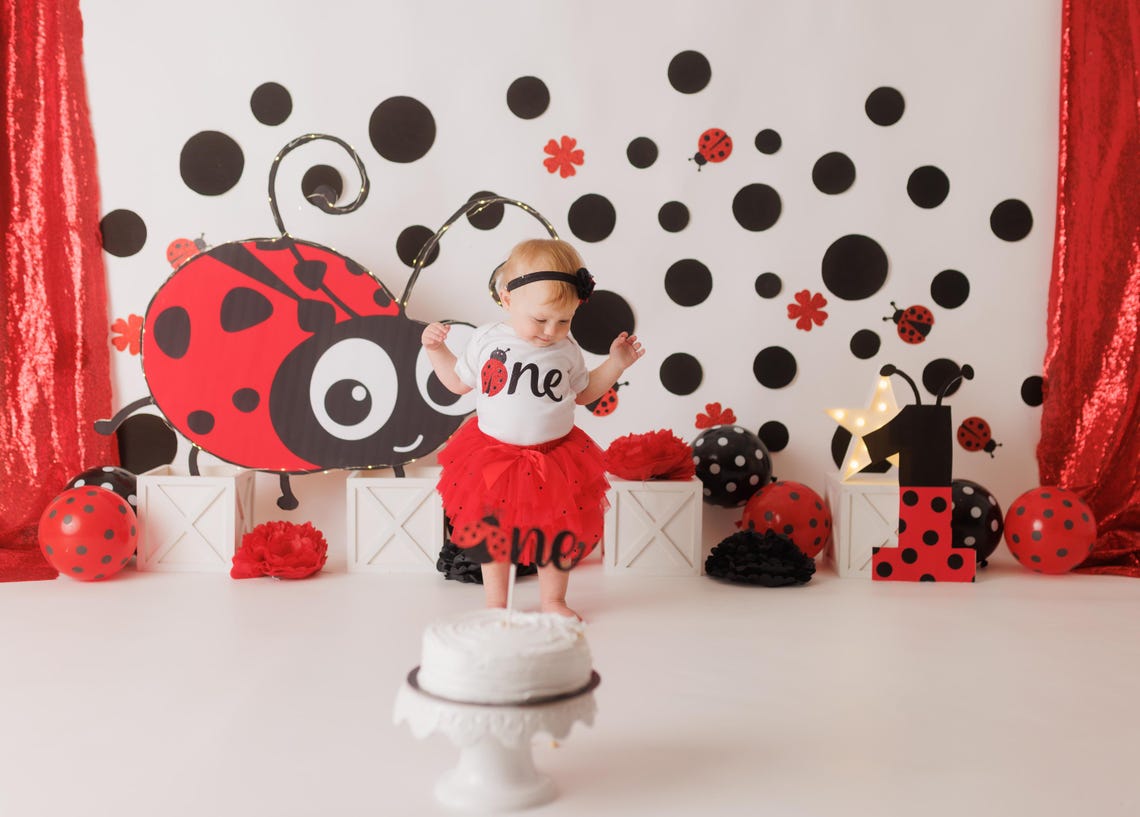 DIGITAL DOWNLOAD: Backdrop, Background, Ladybug, Birthday, 1st ...