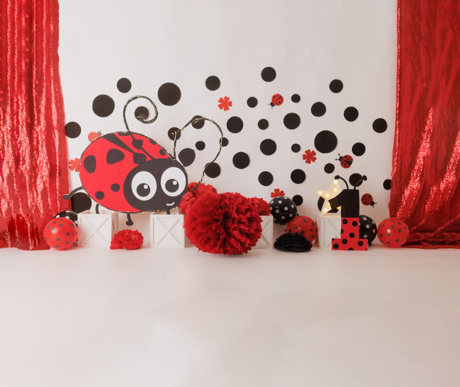 DIGITAL DOWNLOAD: Backdrop, Background, Ladybug, Birthday, 1st ...