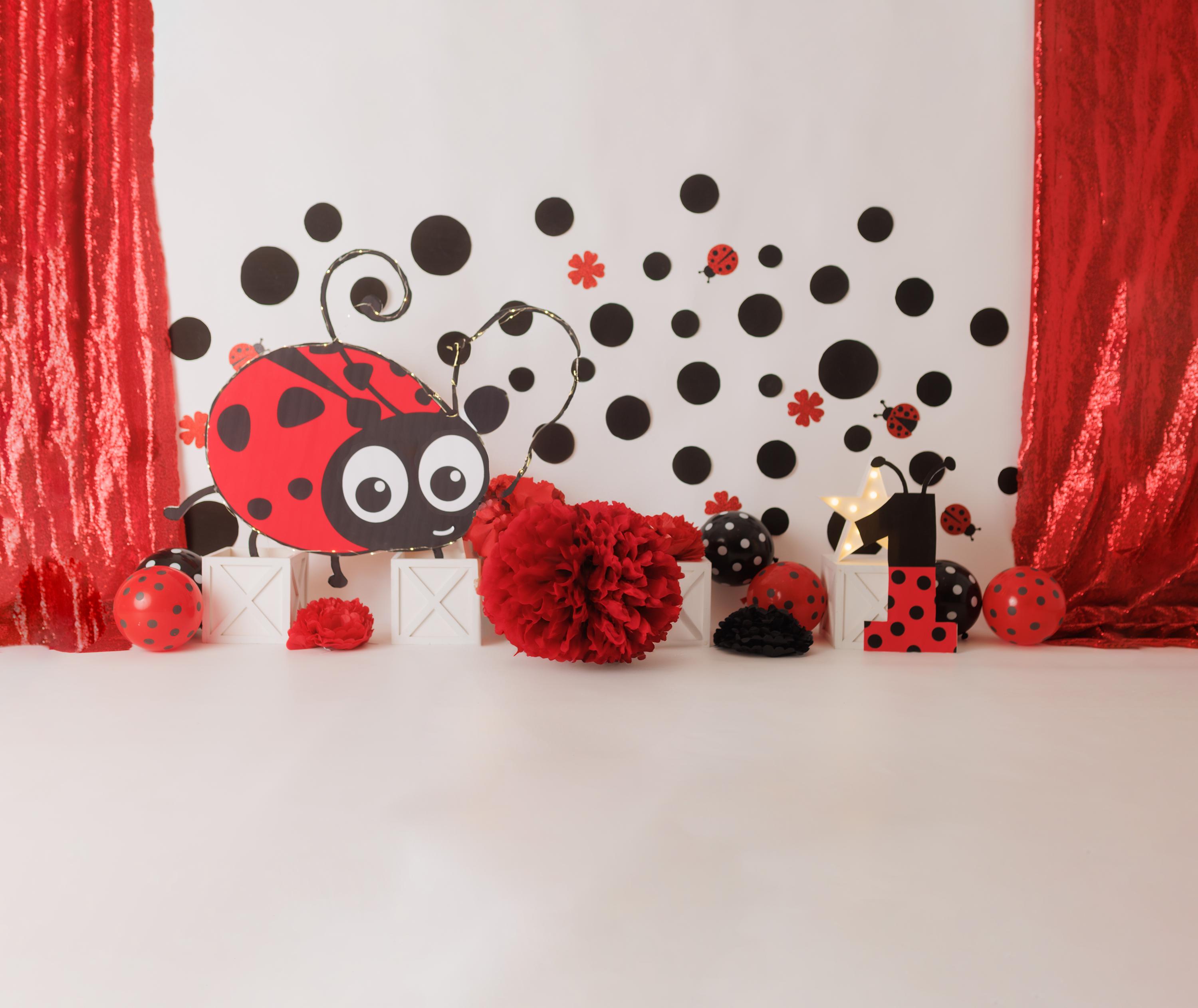 DIGITAL DOWNLOAD: Backdrop, Background, Ladybug, Birthday, 1st ...