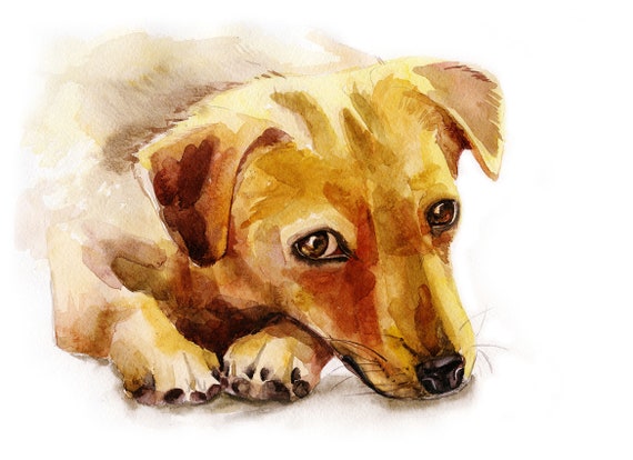 Capture the spirit of your pet with an original custom original watercolor pet portrait.