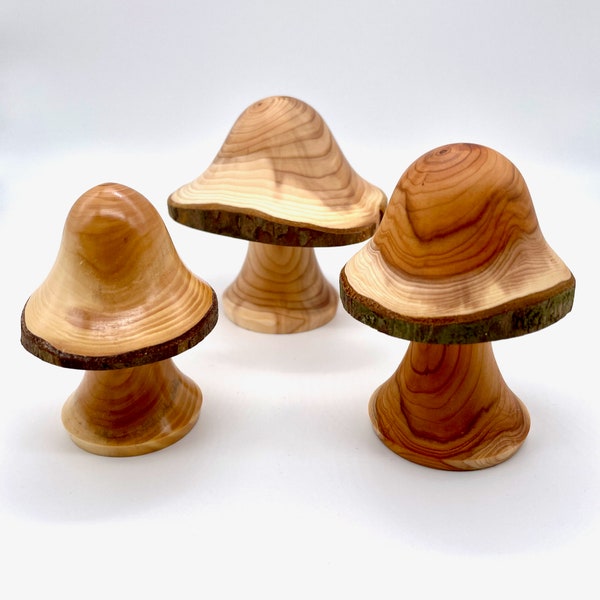 Wooden Mushroom