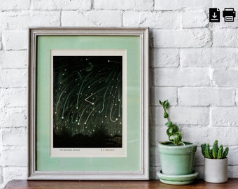 November Meteor Print | Vintage | Space | Digital Download Wall Print | Large Printable Art | Colourful Printable Art | Hallway Art