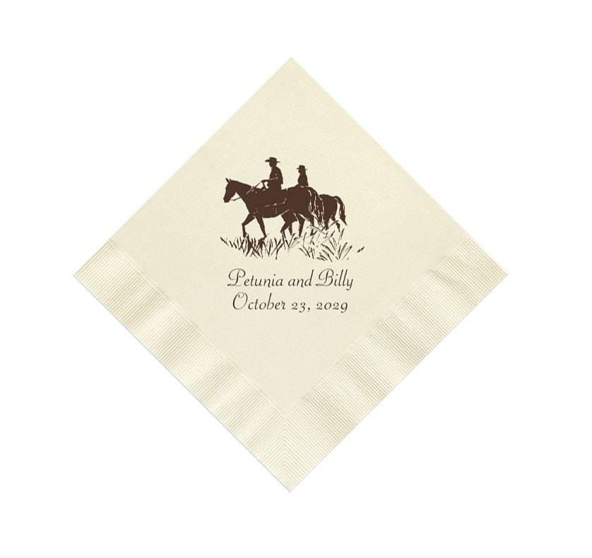 Cowboy Reusable Napkins / Western Reusable Sponge set / Lunch Box Napkins /  Paperless Towels