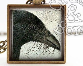 Vintage Crow Portrait Pendant – Corvus brachyrhynchos, Glass Tile Necklace