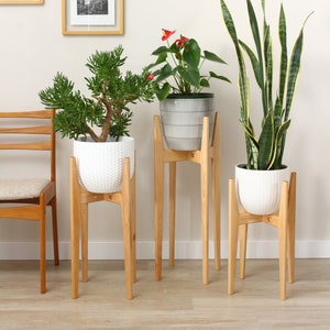 May include: Three wooden plant stands with different heights, each holding a potted plant. The plants are a succulent, a snake plant, and a flowering plant. The stands are made of natural wood and have a simple, modern design.