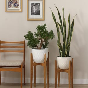 Pode incluir: Duas plantas em vasos em vasos brancos texturizados em suportes de madeira. Uma planta tem folhas longas, verdes e amarelas listradas, e a outra tem folhas pequenas e verdes. Duas obras de arte emolduradas penduradas na parede.