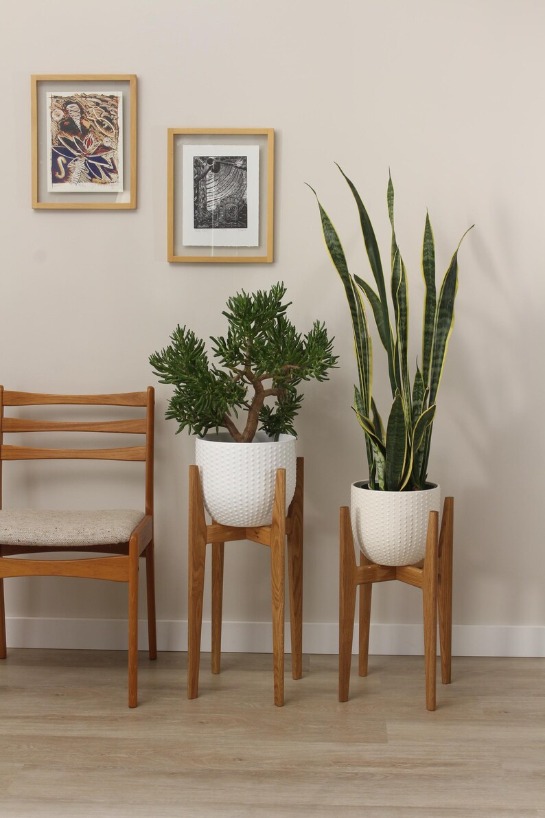 Pode incluir: Duas plantas em vasos em vasos brancos texturizados em suportes de madeira. Uma planta tem folhas longas, verdes e amarelas listradas, e a outra tem folhas pequenas e verdes. Duas obras de arte emolduradas penduradas na parede.