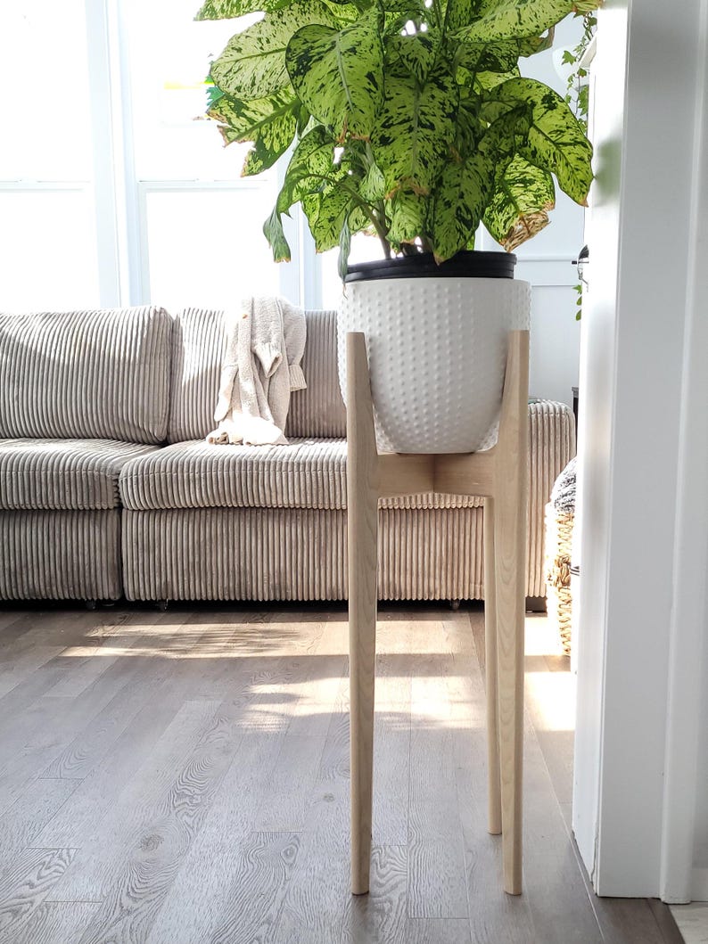 Pode incluir: Um vaso de cer&acirc;mica branca texturizada com uma planta verde e branca est&aacute; sobre um suporte de planta de madeira clara. O suporte tem um design minimalista com quatro pernas finas. O fundo inclui um sof&aacute; de veludo cotel&ecirc; e uma janela brilhante.