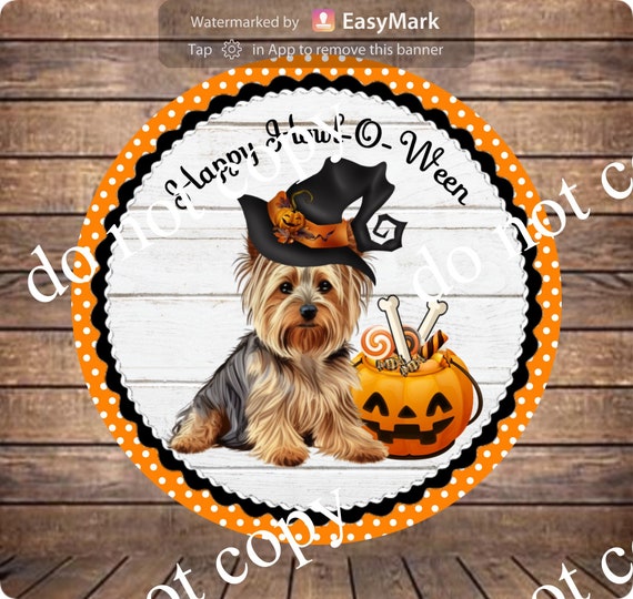 Mommy's Little Pumpkin Yorkie Metal Print Mommy's Little Pumpkin Yorkie Metal Print