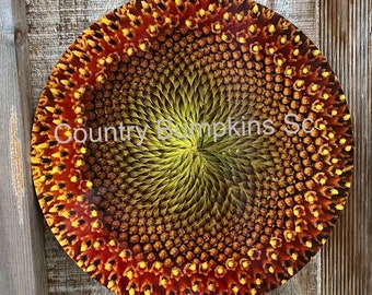 Könnte beinhalten: Nahaufnahme eines runden, hölzernen Sonnenblumenkerns mit einem spiralförmigen Muster aus gelben, orangefarbenen und braunen Samen. Die Mitte der Sonnenblume ist tiefgrün. Der Text "Country Bumpkins Sc" ist auf der Sonnenblume sichtbar.