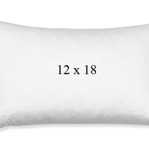 12x18 pillow form