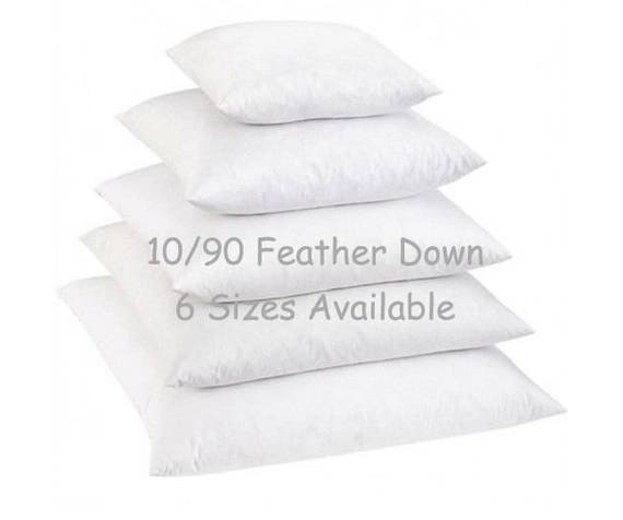 Outdoor 24 in. x 24 in. Premium Goose Down Feather Throw Pillow Inserts(Set of 2)-5% Down Filling, High Filling Weight, White