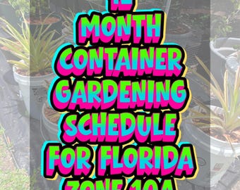 12 Month Container Focused Gardening Guide for Florida Zone 10a