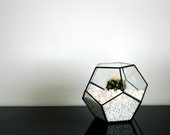 Geometric Glass Terrarium / for air plant or succulents / Stained Glass / Dodecahedron / Handmade Glass Terrarium