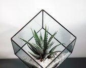 Geometric Glass Terrarium / Cube / Square / Handmade Glass Planter / Modern Planter for Indoor Gardening / Stained Glass Terrarium