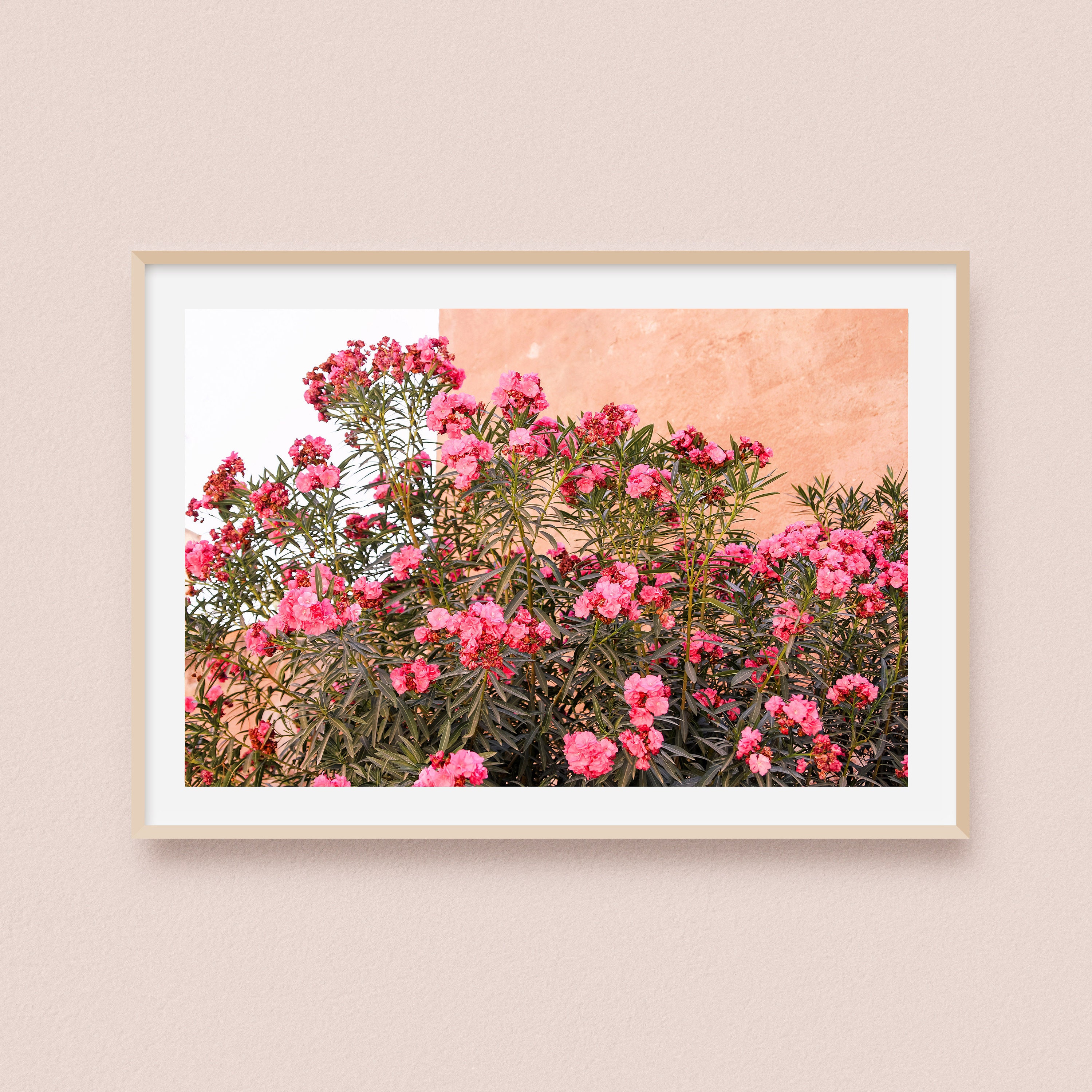 Impression Photo et Toile d'un Mur Fleurie à Marrakech Au Maroc