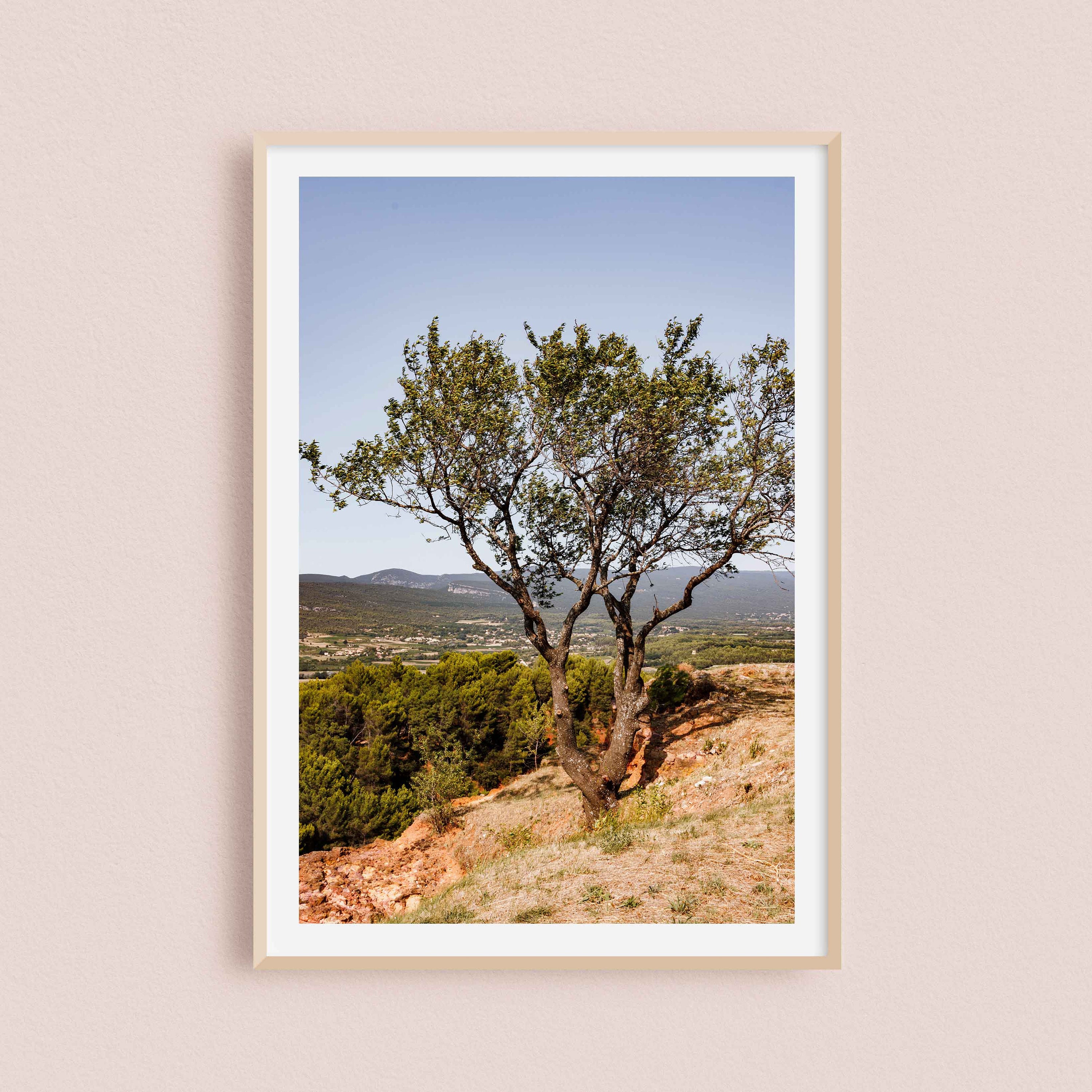 Impression Photo et Toile d'un Arbre Du Village de Roussillon Dans Le Sud La France
