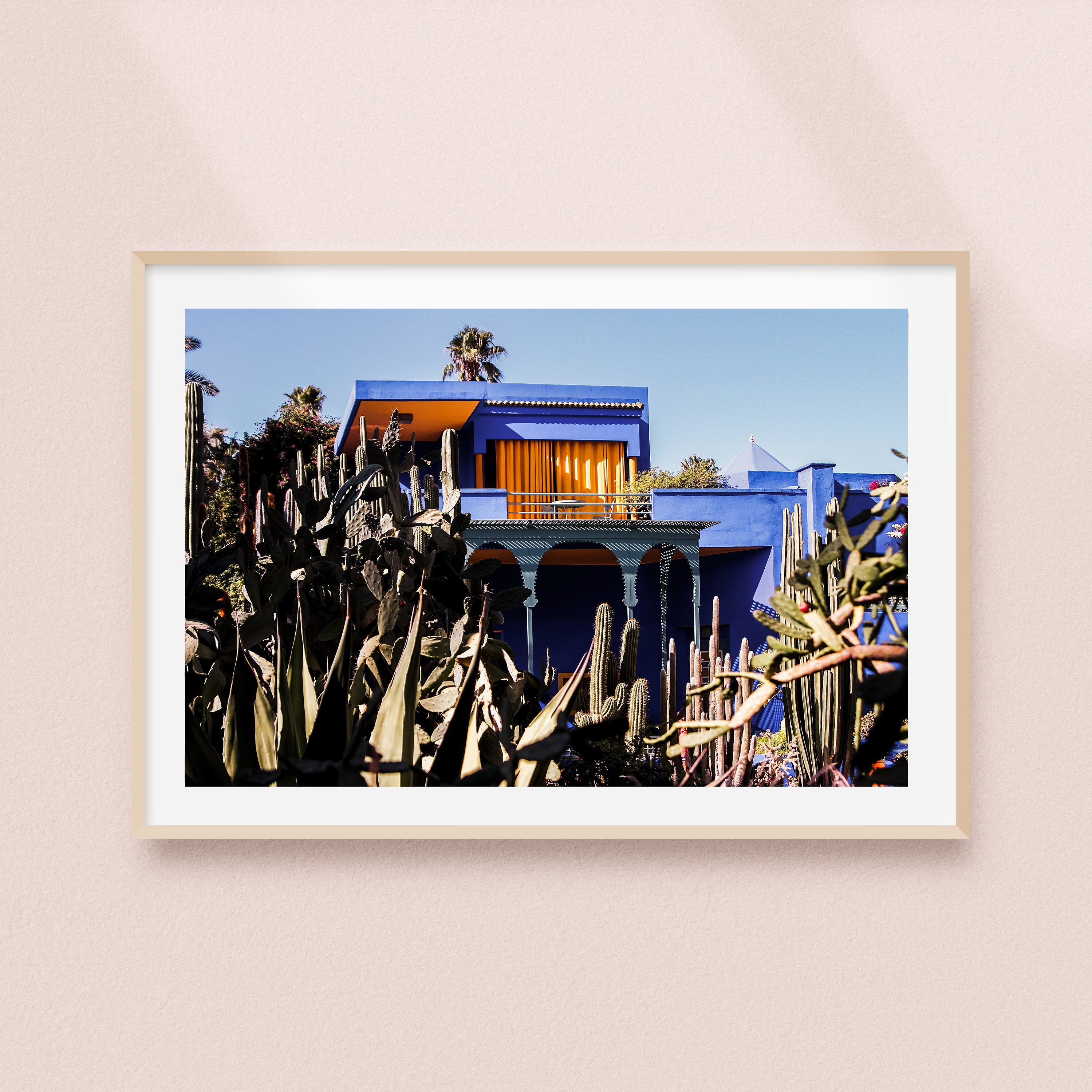 Impression Photo Du Jardin de Majorelle à Marrakech Au Maroc