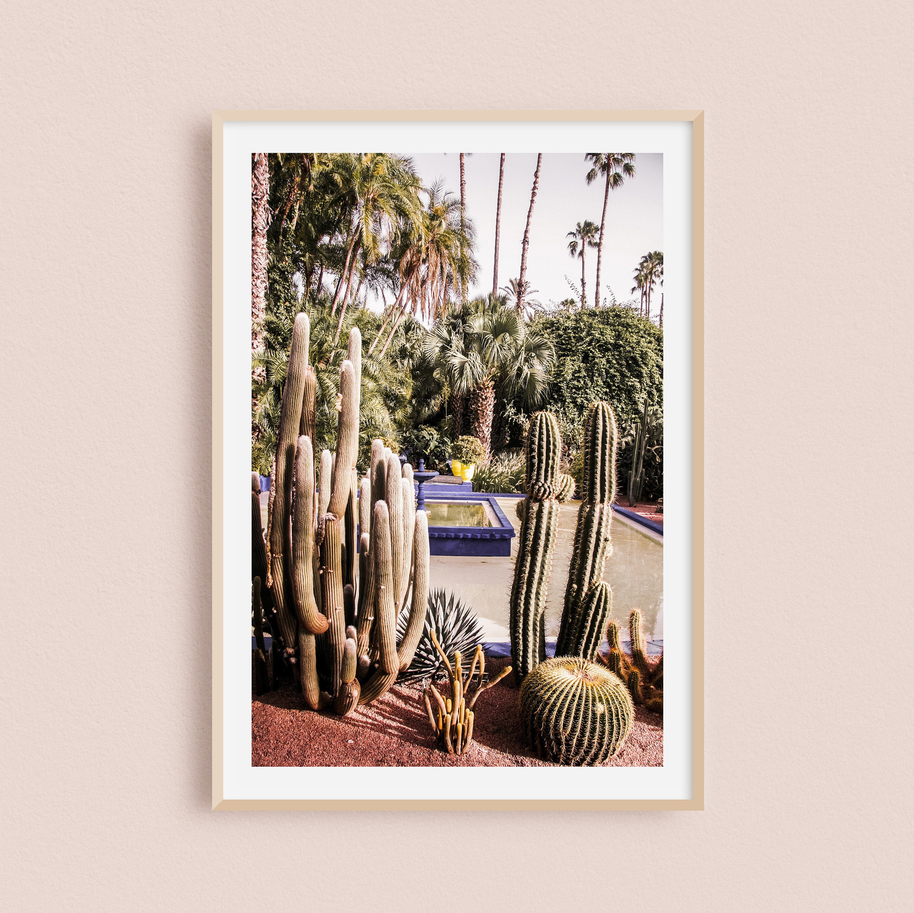 Impression Photo Du Jardin de Majorelle à Marrakech Au Maroc