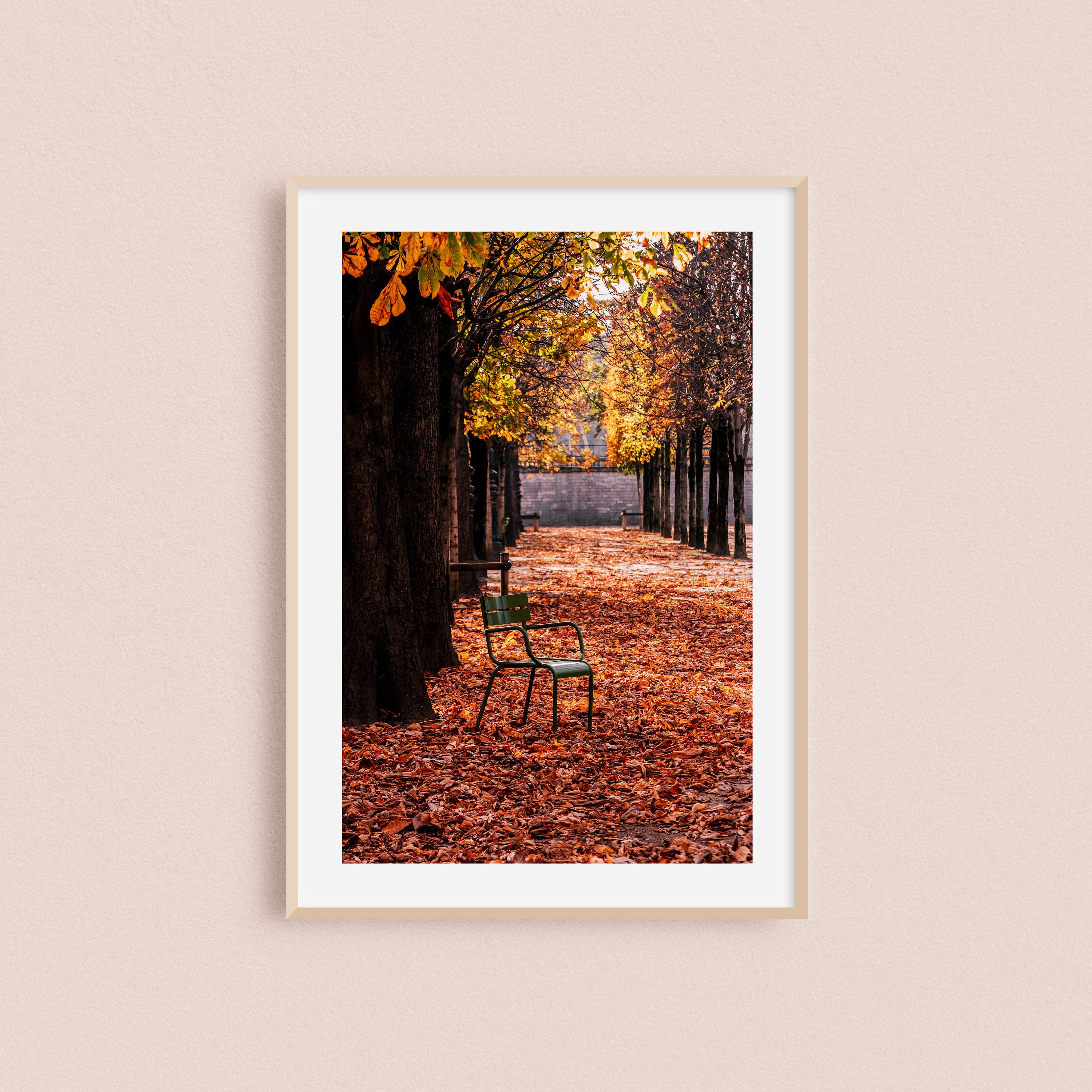 Impression Photo ou Toile d'un Automne Au Jardin Des Tuileries de Paris