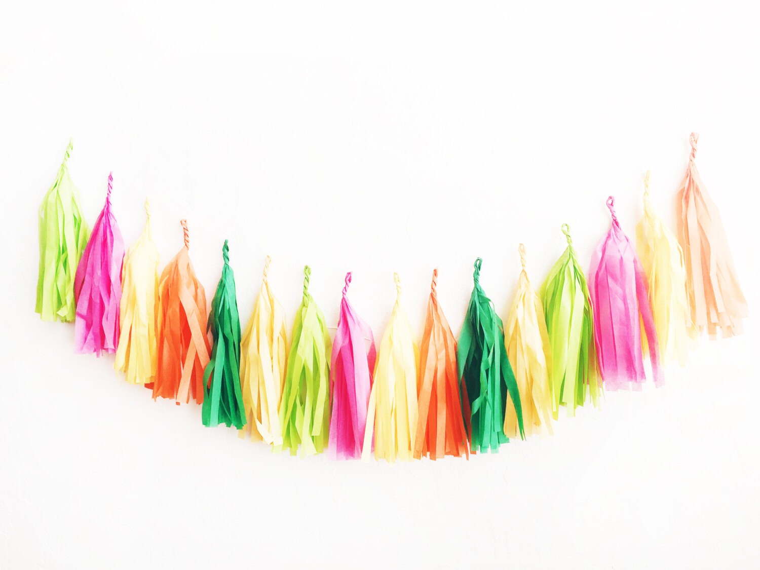 Fiesta Tassel Garland Tissue Paper Tassel Garland Taco Etsy