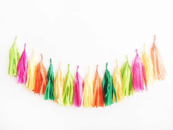 Fiesta Tassel Garland - tissue paper tassel garland | Taco Party Fiesta Il_570xn