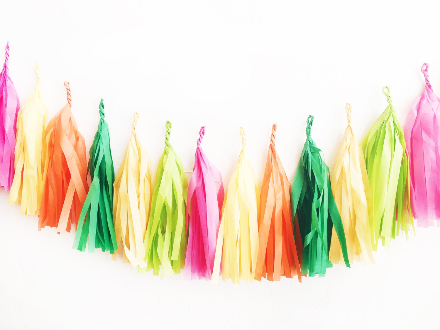 Fiesta Tassel Garland Tissue Paper Tassel Garland Taco Etsy