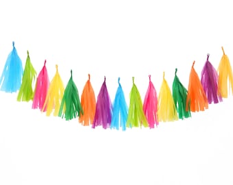 Fiesta Rainbow Tassel Garland -  Fringe Party Decor