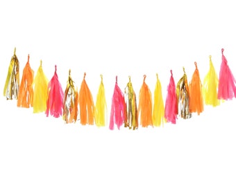 Fruit Punch Tassel Garland -  Fringe Banner Party Decor