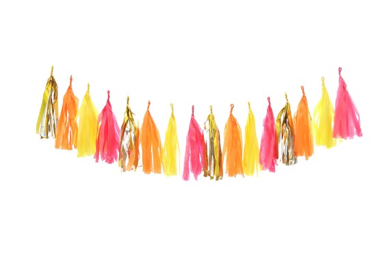 Fruit Punch Tassel Garland - Fringe Banner Party Decor Il_570xn