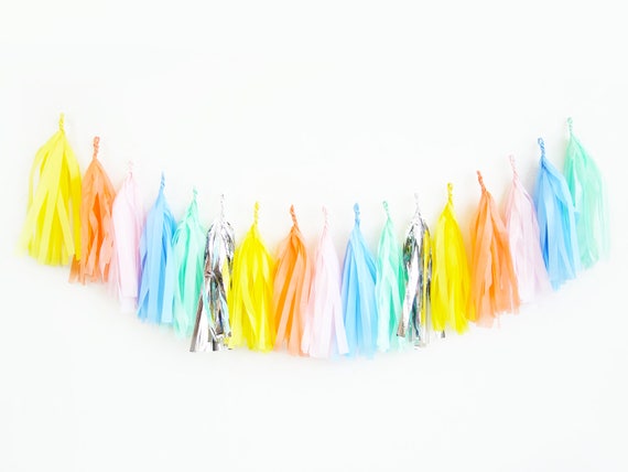 Sprinkles Tassel Garland | Rainbow Silver Donut Party Il_570xn